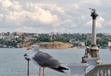 Російська влада обіцяє закрити морський шлях українським БпЛА до Севастополя. Чи реально це?