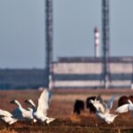 «Попереду – колапс або повільна деградація»: як українські дрони зупинили великий бізнес у Криму