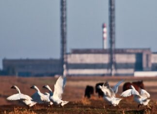 «Попереду – колапс або повільна деградація»: як українські дрони зупинили великий бізнес у Криму