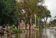 «У нас потоп – владі байдуже»: як Євпаторія стає «підводним містом» (фото та відео)
