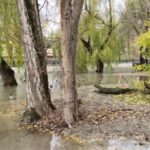 У Криму очікуються підйоми рівнів води в річках через сильні дощі — російська влада