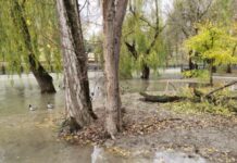 У Криму очікуються підйоми рівнів води в річках через сильні дощі — російська влада