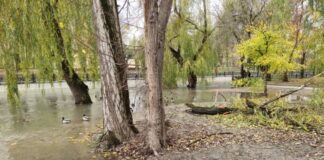 У Криму очікуються підйоми рівнів води в річках через сильні дощі — російська влада