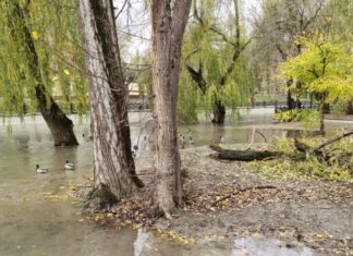 У Криму очікуються підйоми рівнів води в річках через сильні дощі — російська влада