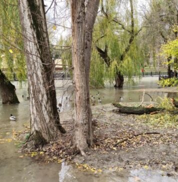 У Криму очікуються підйоми рівнів води в річках через сильні дощі — російська влада