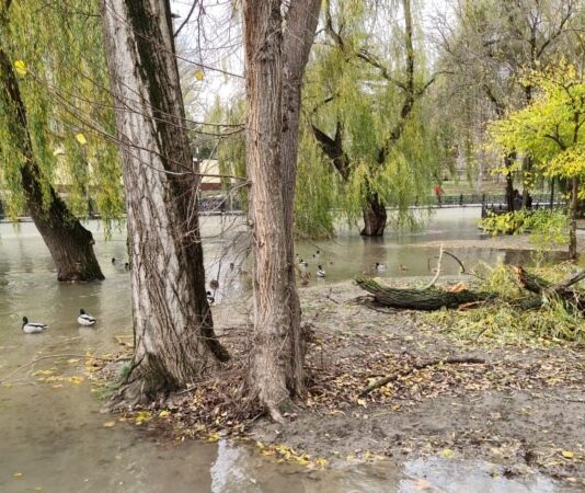 У Криму очікуються підйоми рівнів води в річках через сильні дощі — російська влада