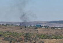 Власник парку «Тайган» Зубков заявив про можливість втечі хижаків через діяльність мобільних вогневих груп