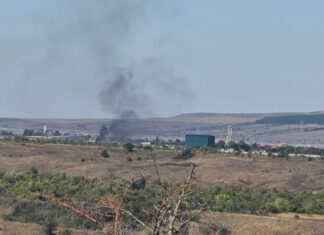 Власник парку «Тайган» Зубков заявив про можливість втечі хижаків через діяльність мобільних вогневих груп